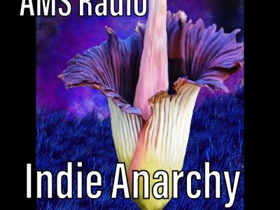 Indie Anarchy- Featured Spotify Playlist