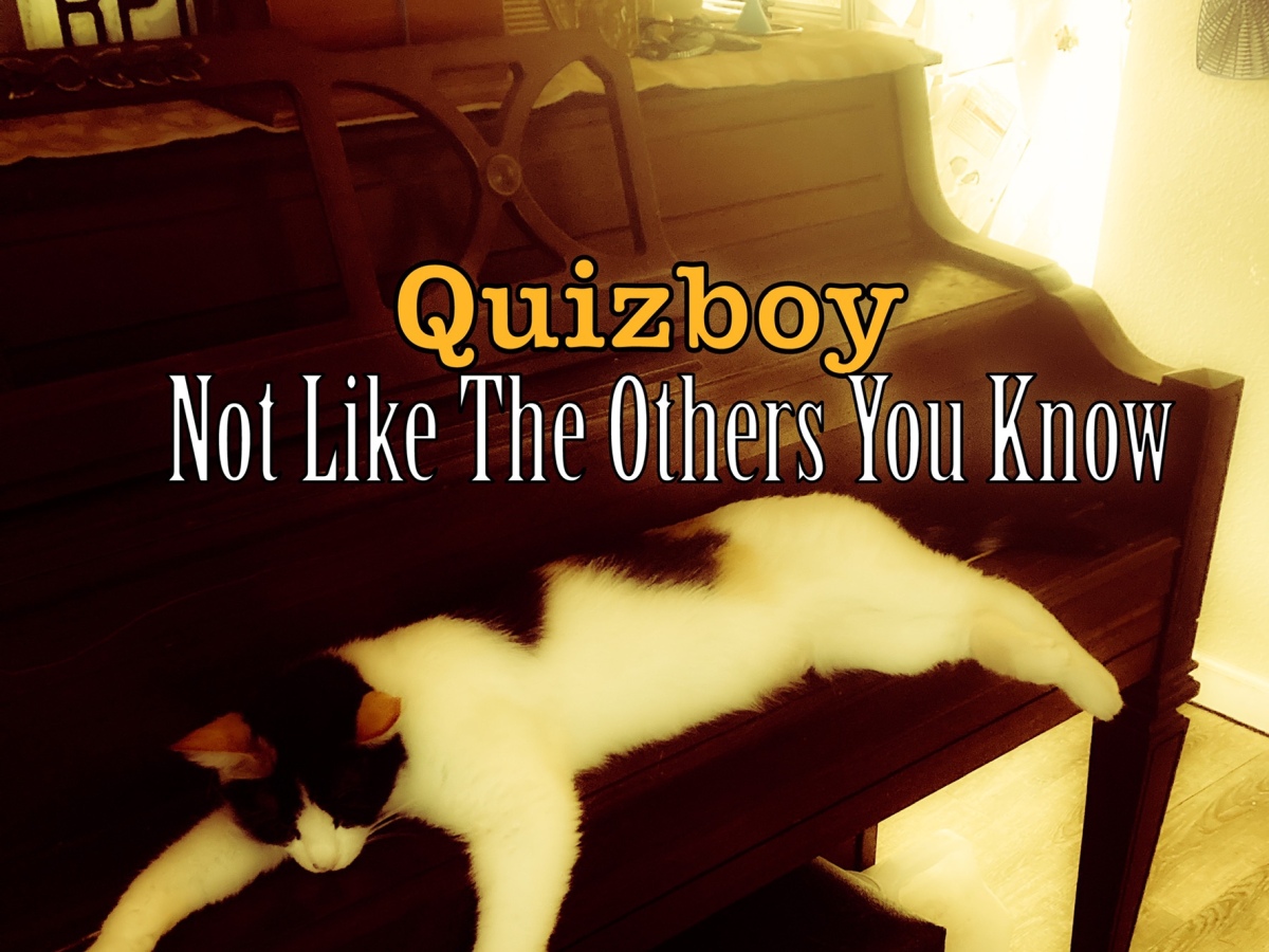 New Release – Not Like the Others You Know (EP) by Quizboy
